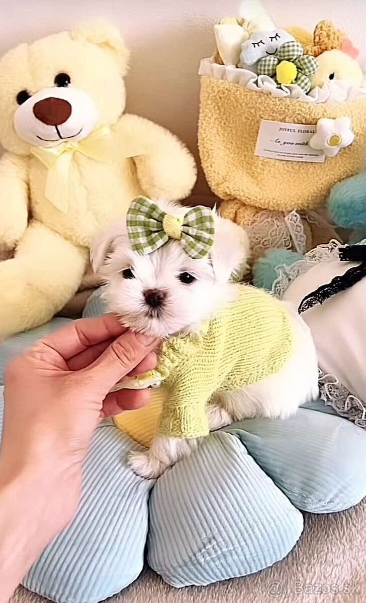 Mini Maltezák