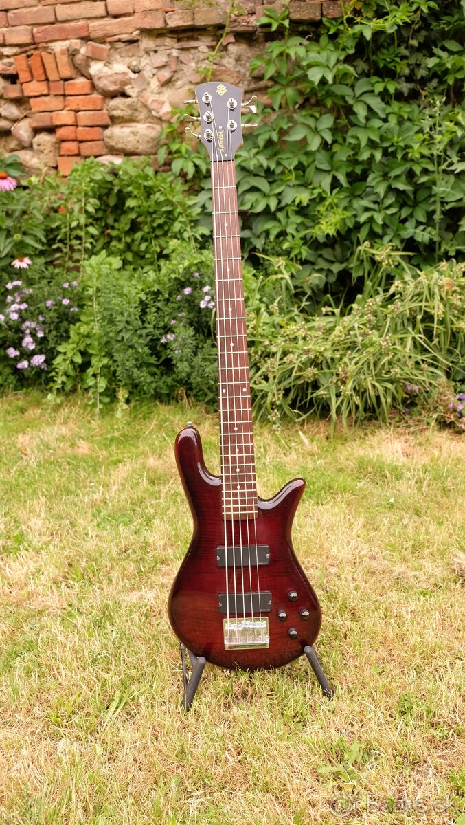 basgitara Spector Legend 5 Standard