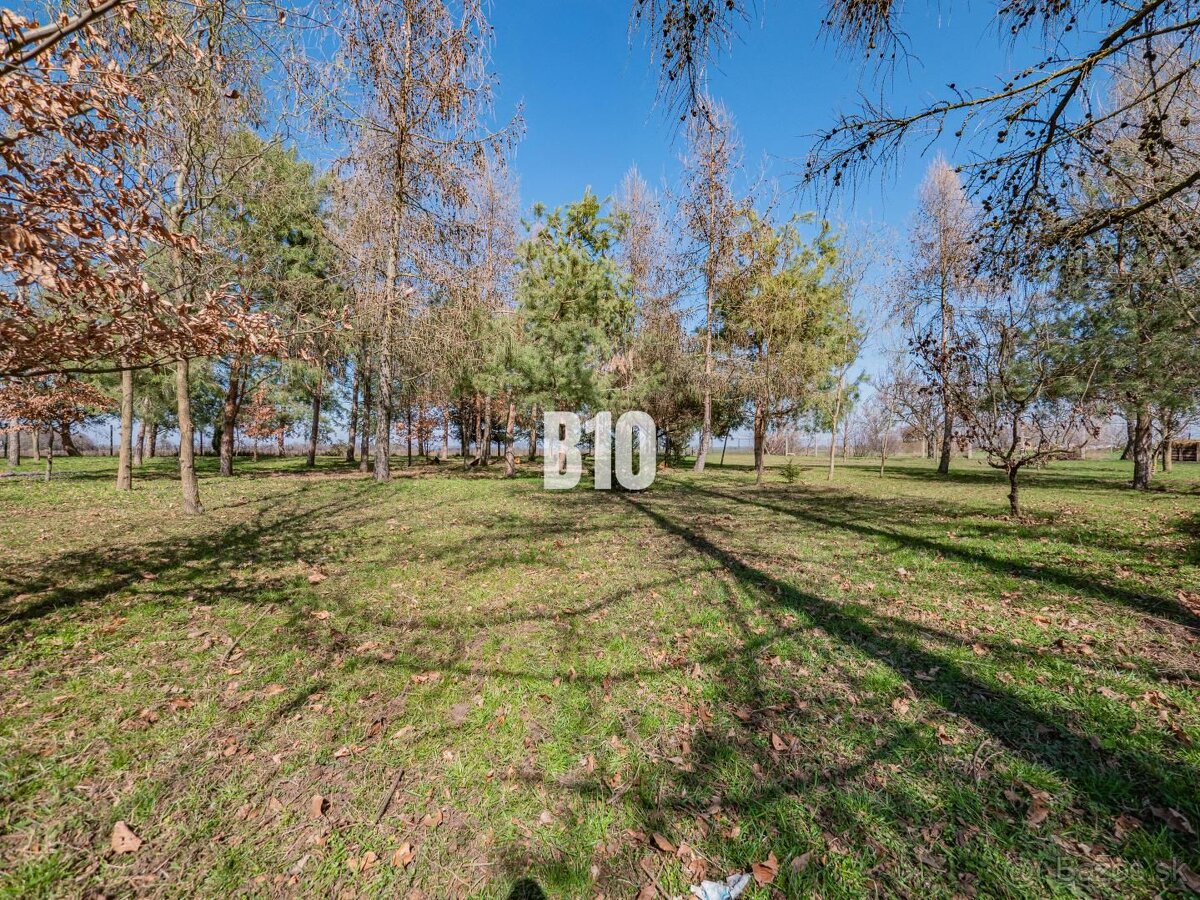 Rozľahlý pozemok s domom a lesíkom – ideálne pre hospodáreni