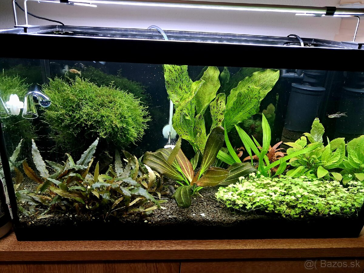 Kompletné akvárium 60L s CO₂ + LED