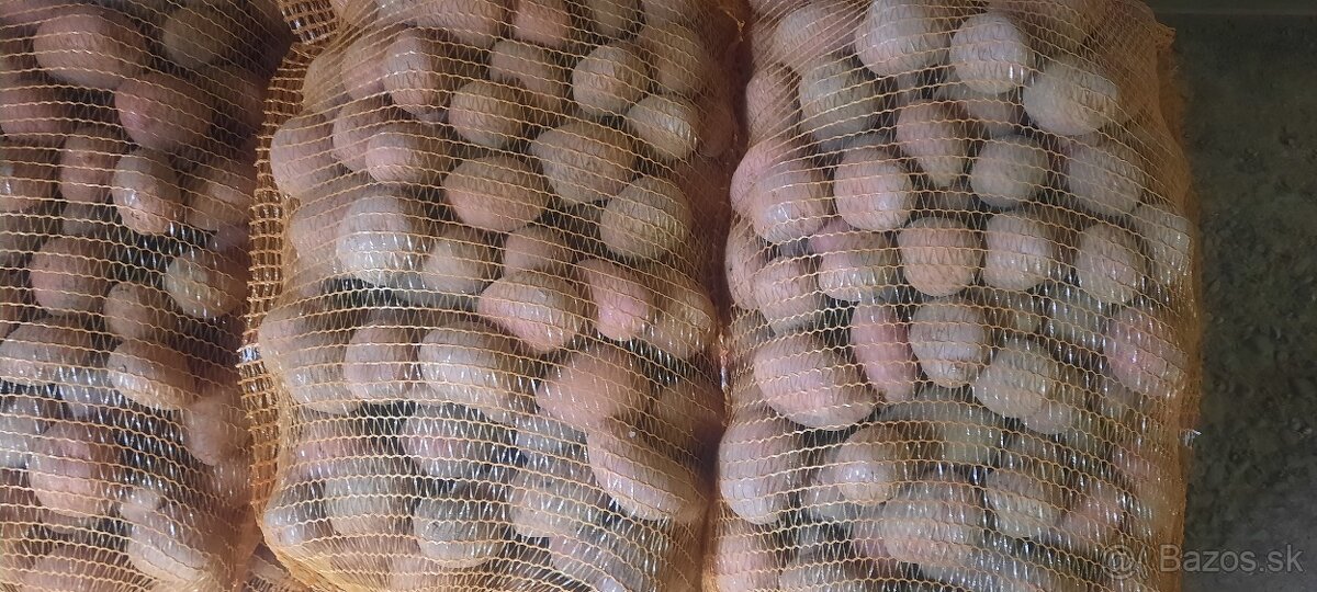 Zemiaky červené (Red anna).