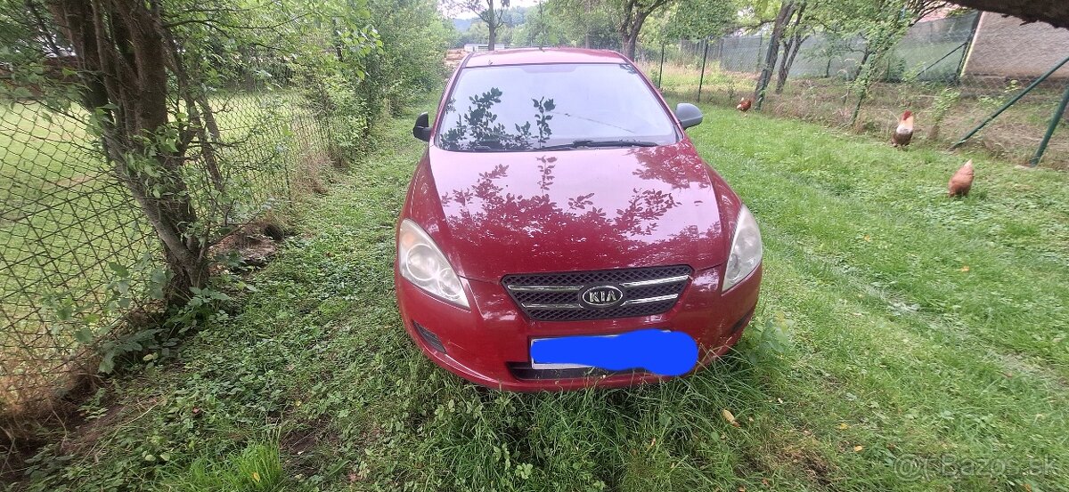 Kia ceed