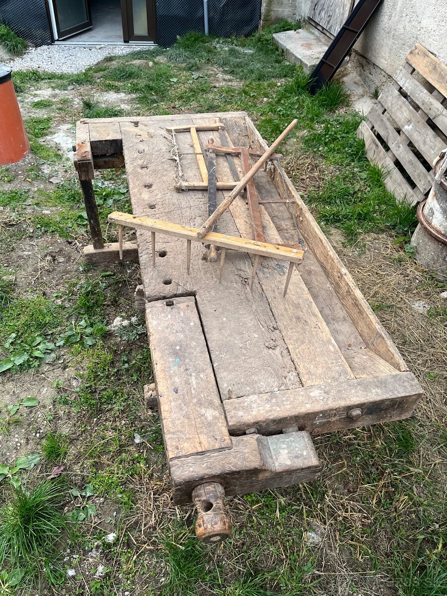 Phoblica stolarsky ponk