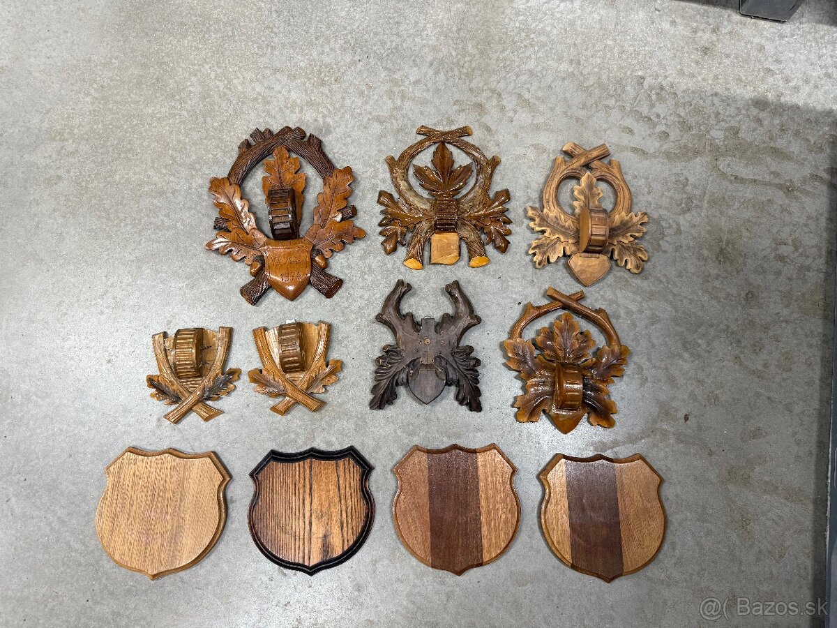 Trofej,parozie,parohy,diviak