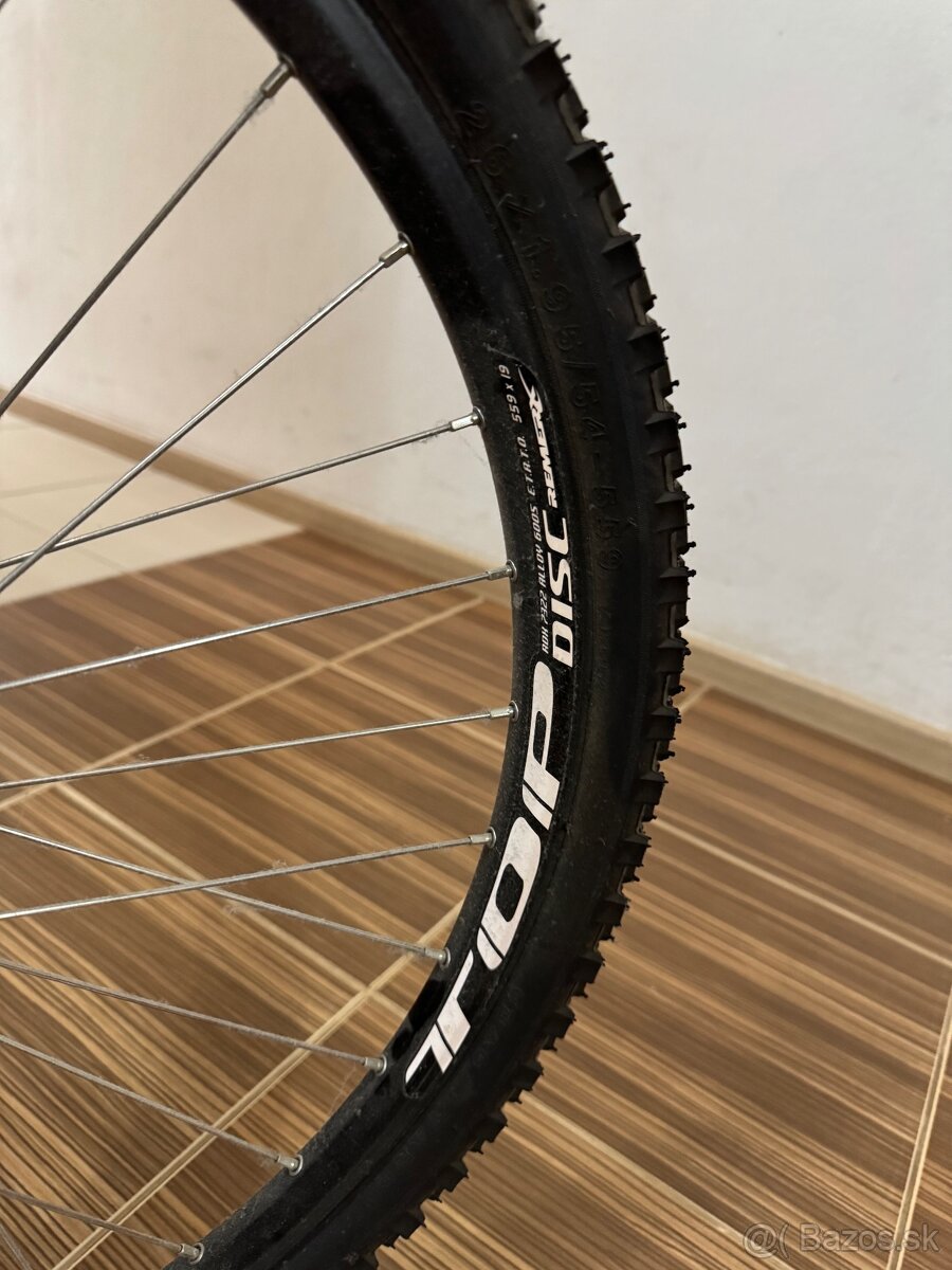 Kellys Madman 10