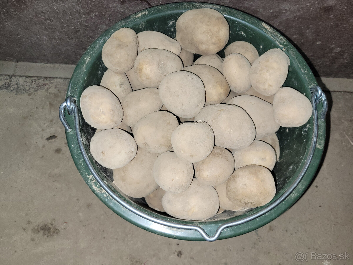 Zemiaky - II. triedy