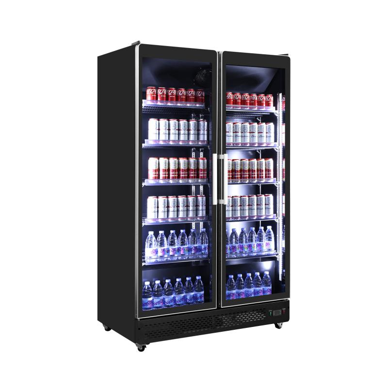 Dvojdverová chladnička imidžová