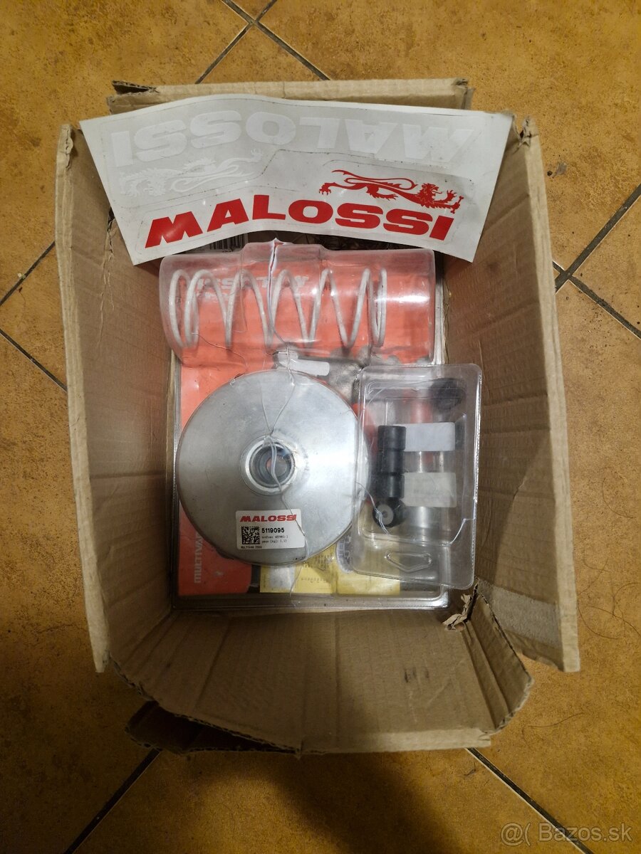 Vyfuk , variator malossi ponuknite