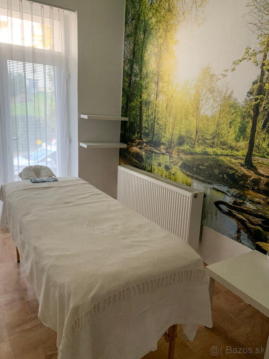 Prenájom priestoru na služby a iné centrum mesta