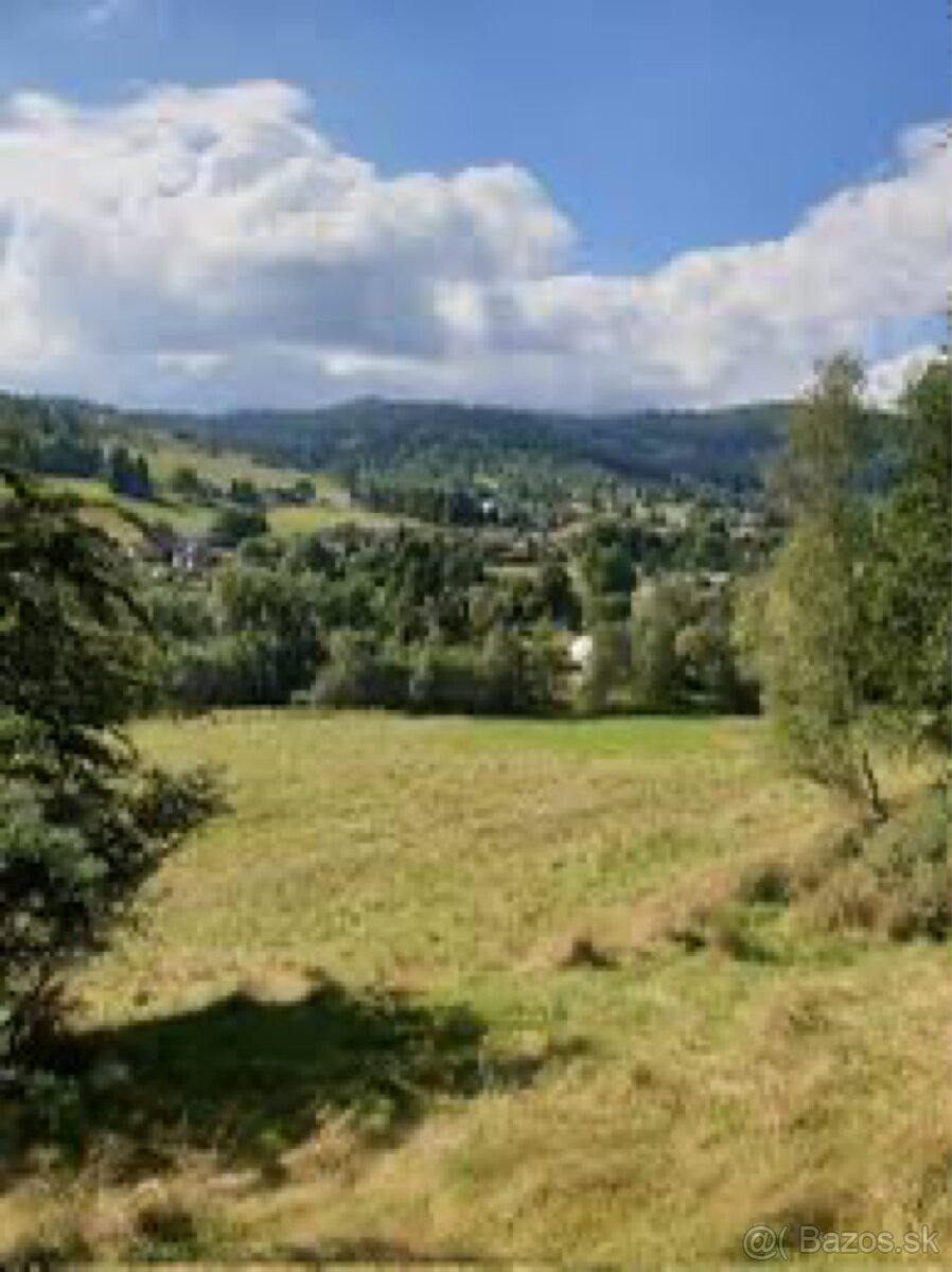 lúka na kúpu / nájom