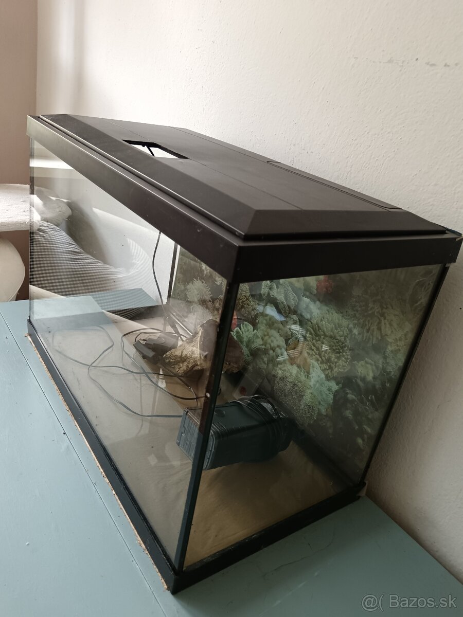 Akvarium