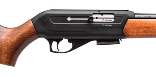 22 WMR