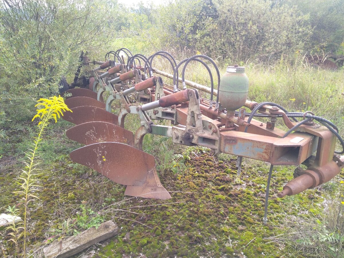 pluh phx päťtorák