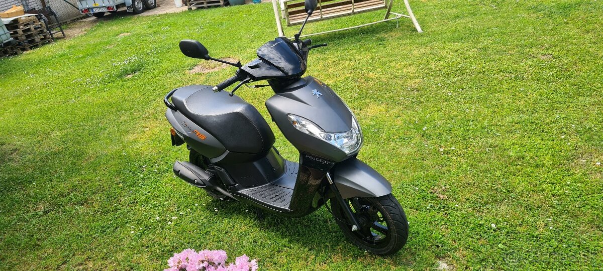 Peugeot kisbee