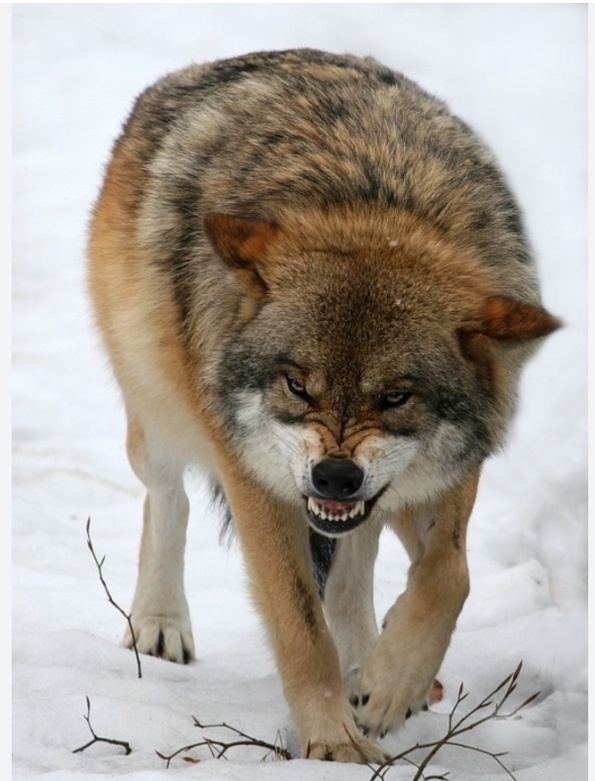 Hľadám prácu v SBS