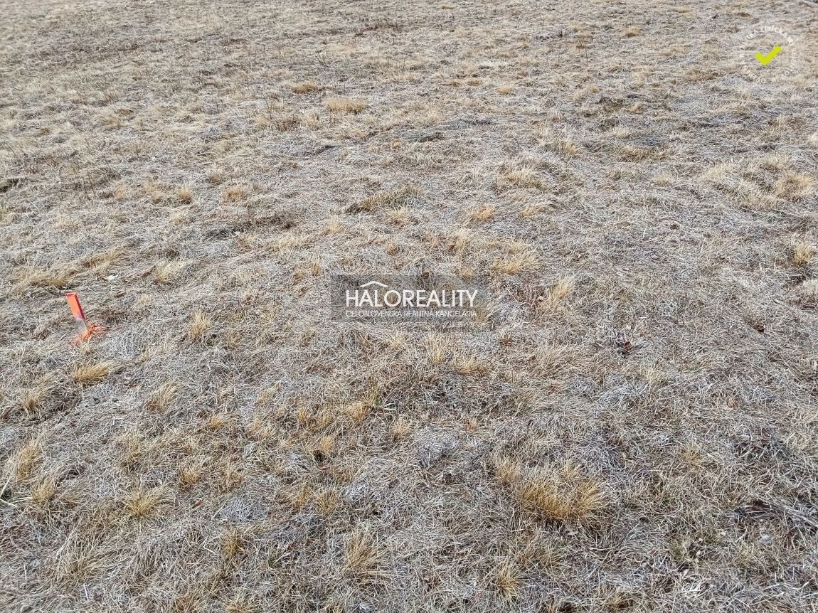 HALO reality - Predaj, rekreačný pozemok Nálepkovo, Zahájnic