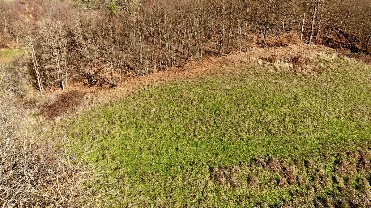 PREDAJ- POZEMOK PRI LESE  - VOZNICA