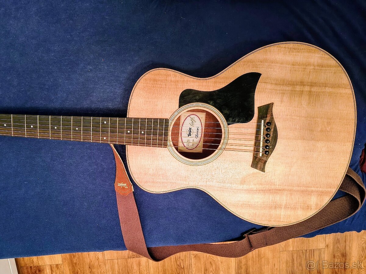 Taylor GS Mini-e Rosewood