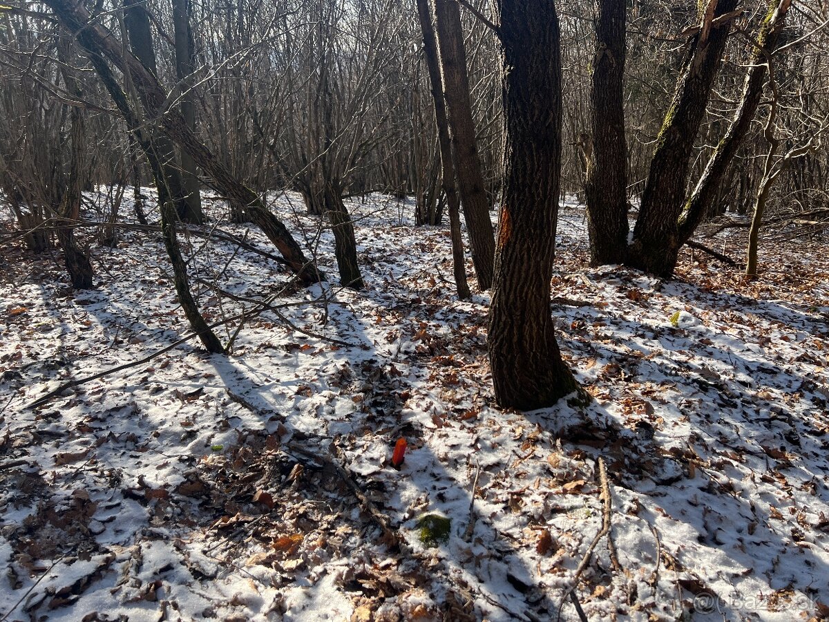 PREDAJ lesný pozemok, Chotár, Nová Baňa, 10 842 m2