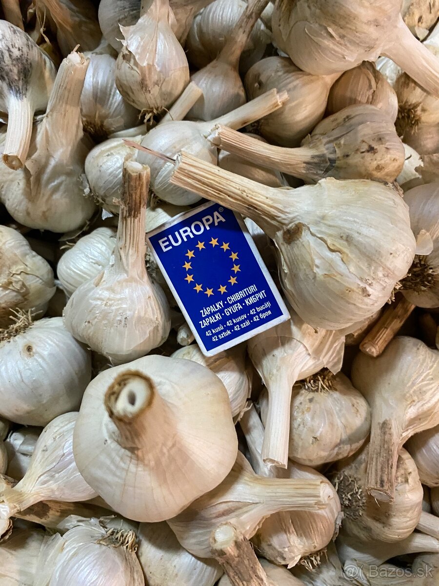 cesnak