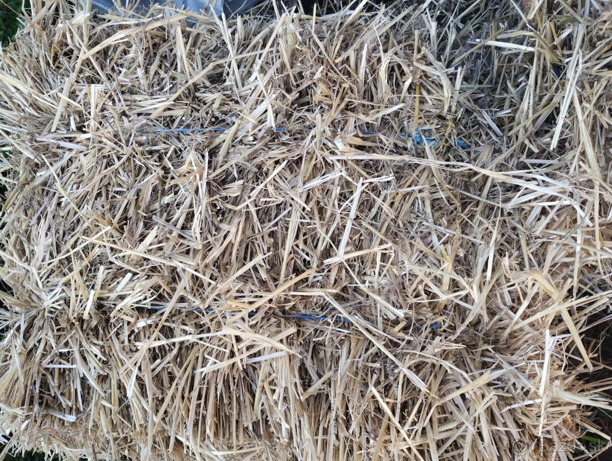 Pšenicná slama , male baliky.