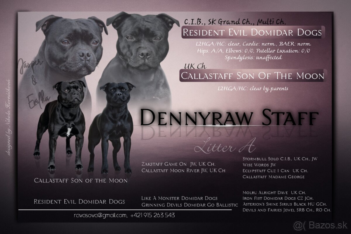 Staffordshire bullterier s pp FCI