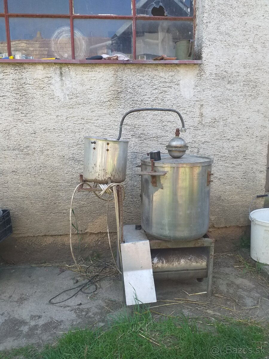 Domaca palenica