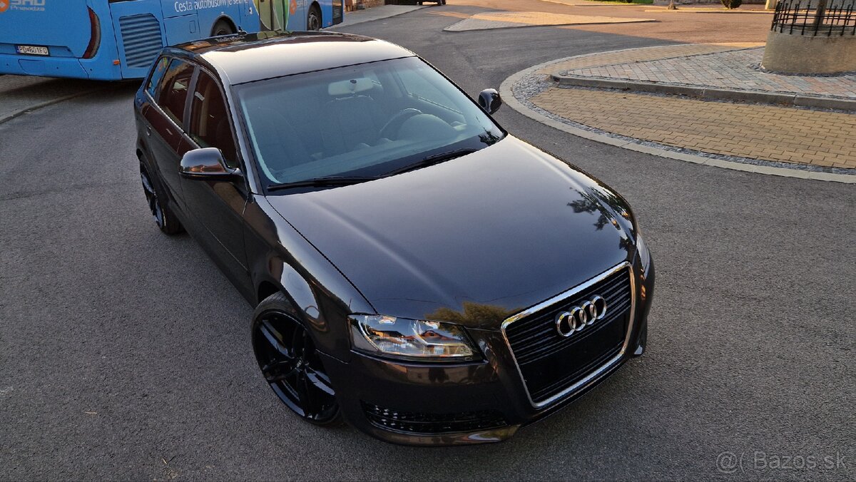 Audi A3 8p 1.9TDI