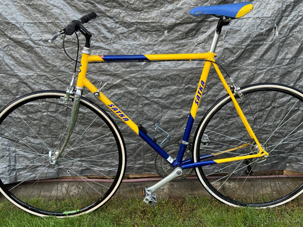 Favorit-Satka-Urban bike