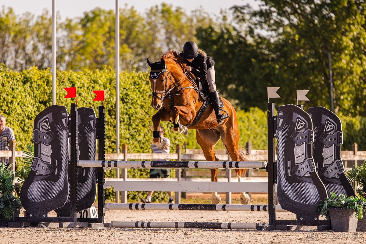 8 ročný parkúrový valach