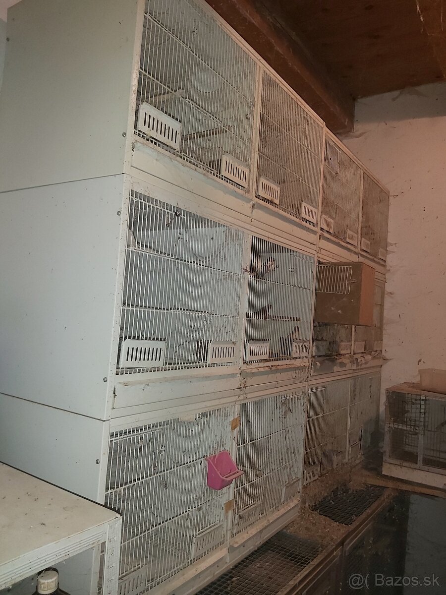 Predám klietky boxy