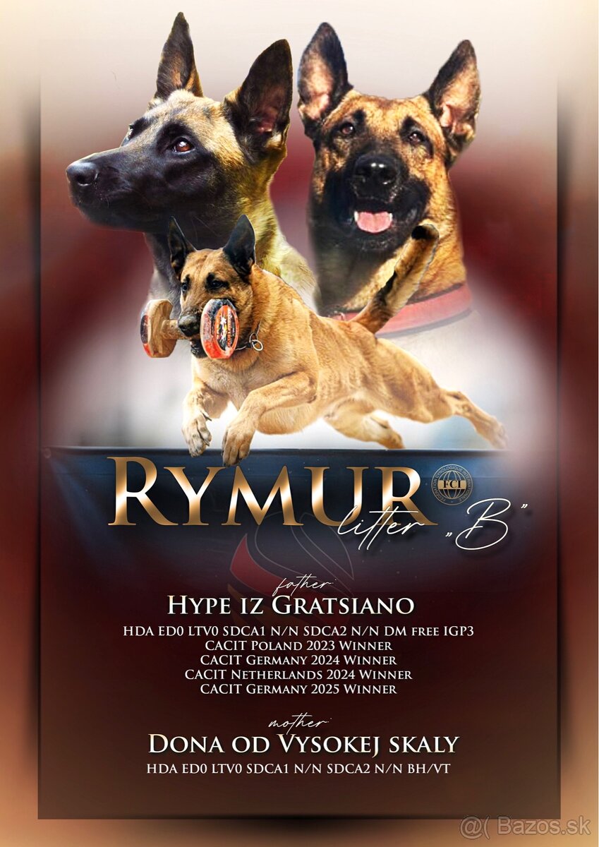 Belgický ovčiak Malinois s PP