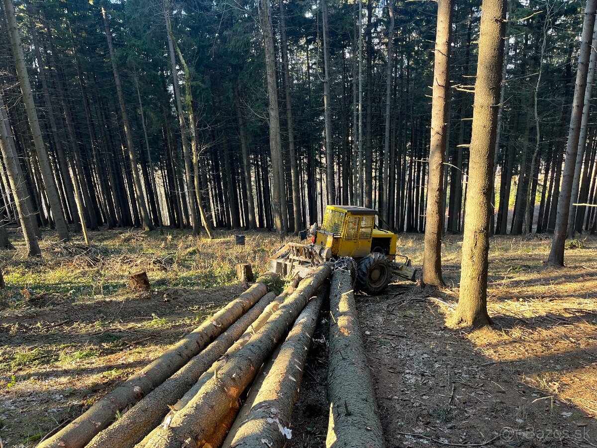 Lkt 81
