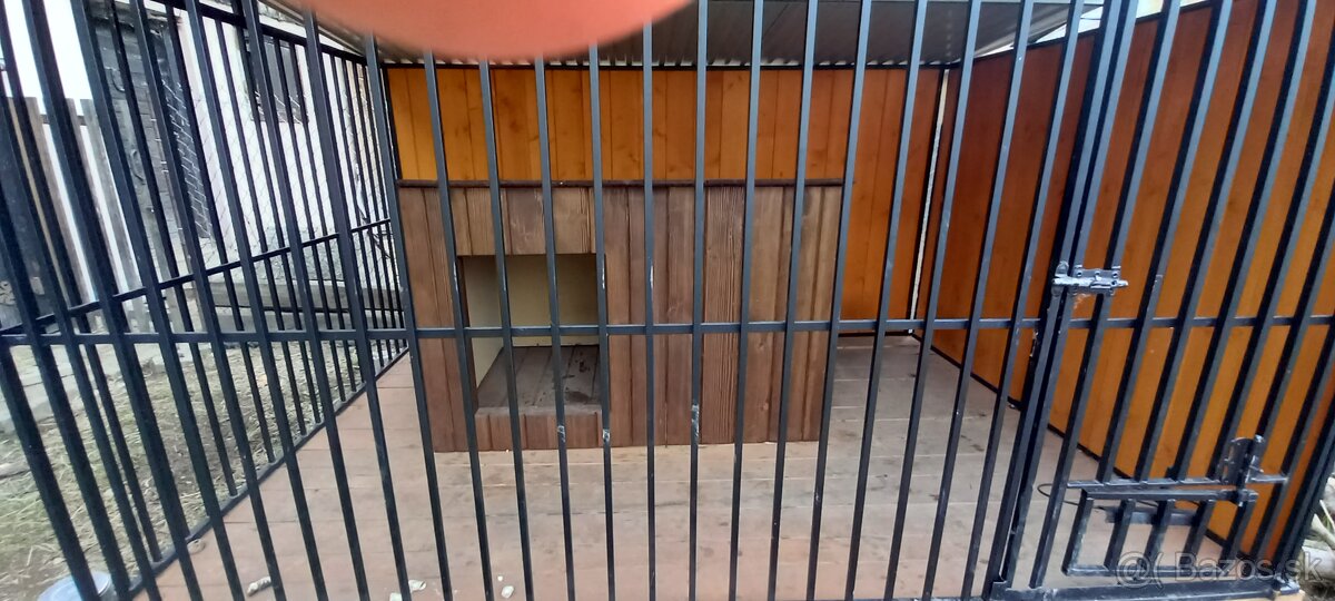 Voliera, buda pre psíka