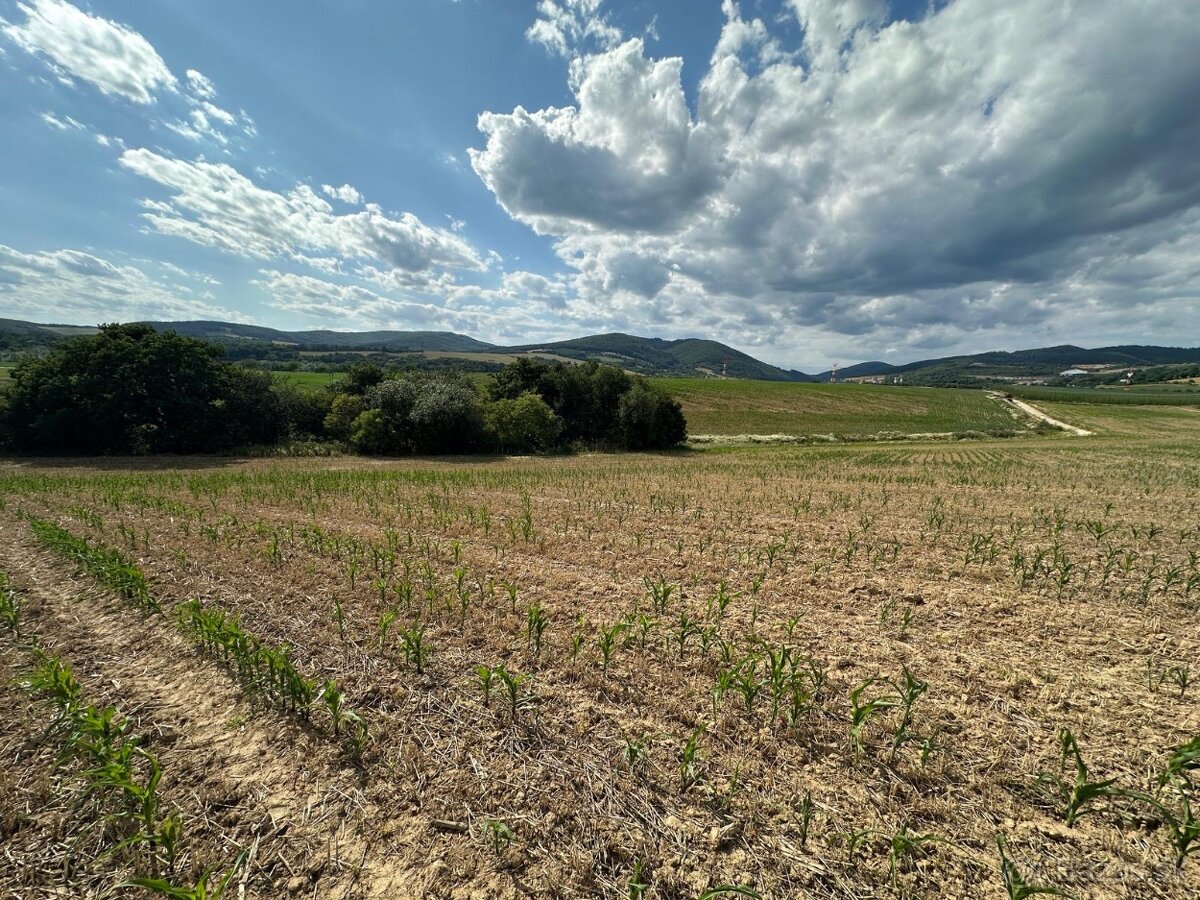 Na predaj veľký slnečný pozemok s výhľadom- Nemšová, 5988 m2