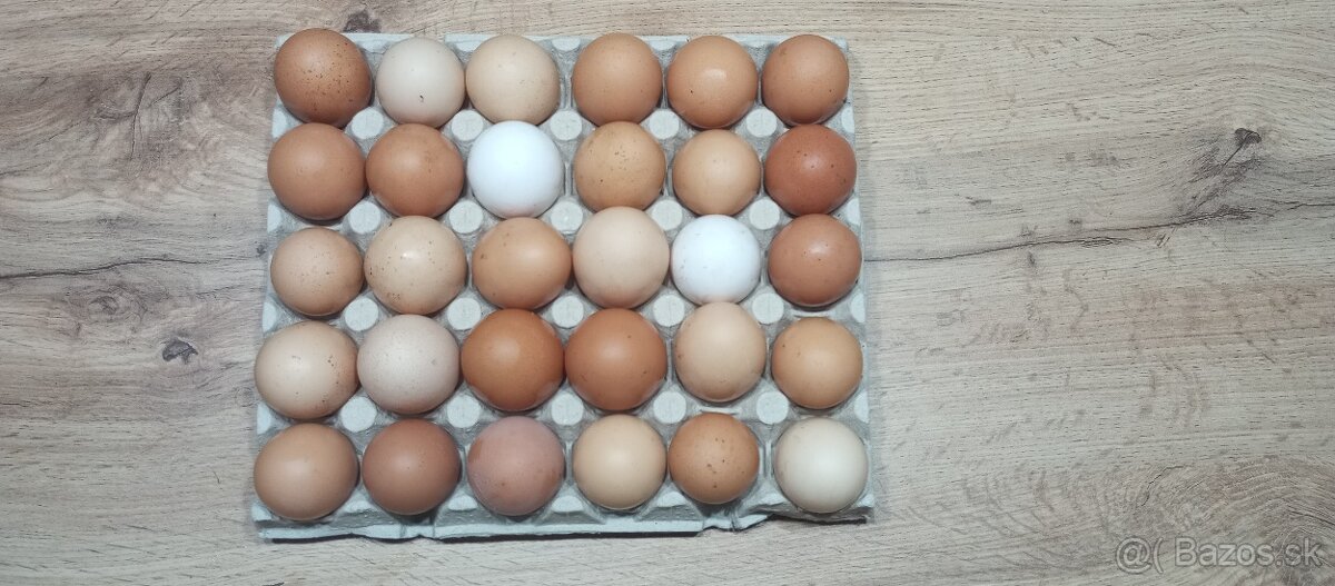 Domáce vajíčka