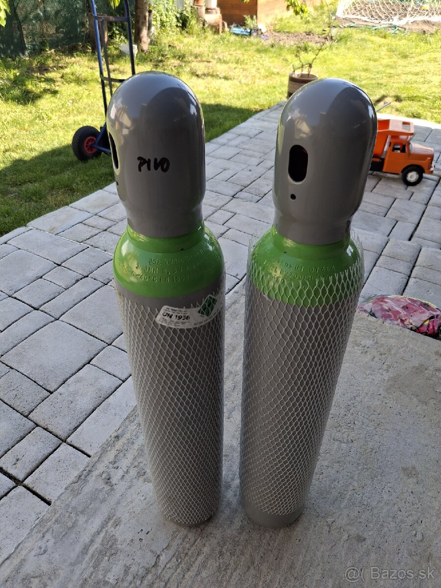 Pivoplyn biogón
