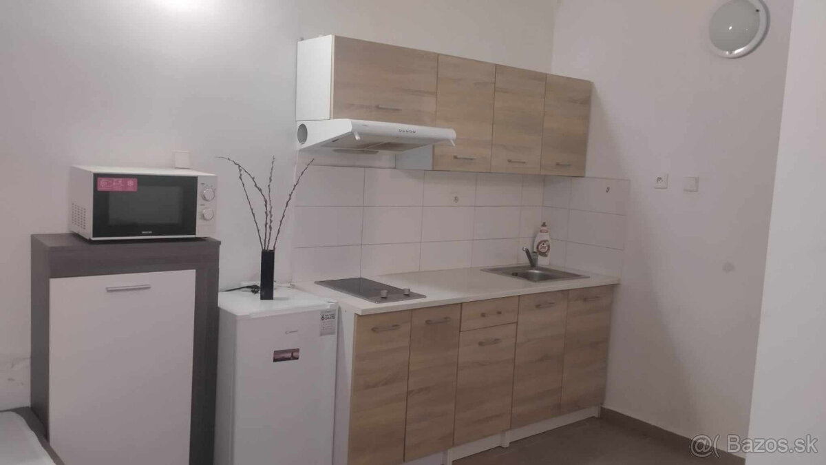 1-izbový byt, Centrum, s netom, aj domáce zvieratá