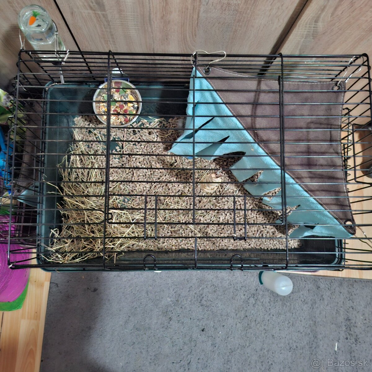 Predám zakrslého zajka – 3 mesiace (s klietkou a doplnkami)