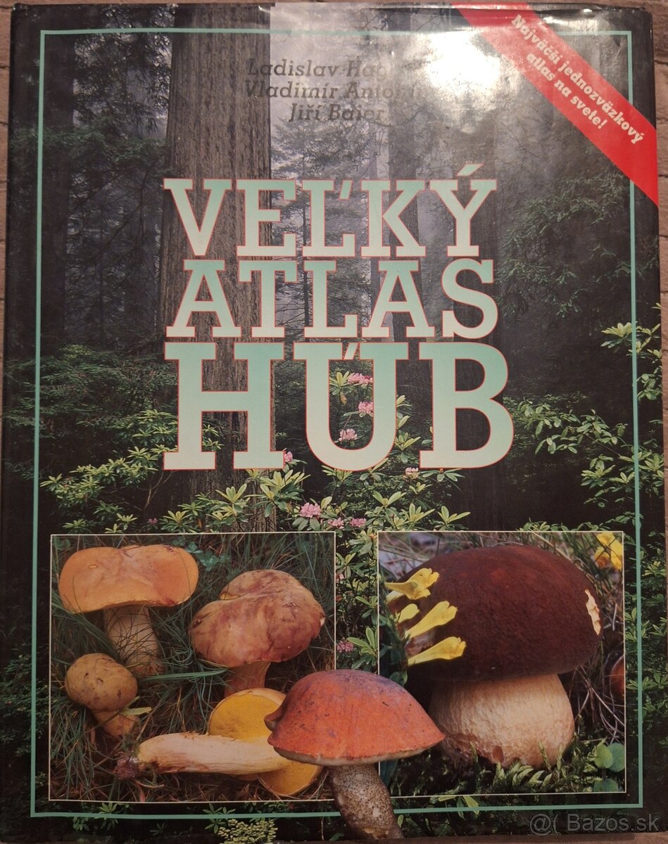 Atlas Húb