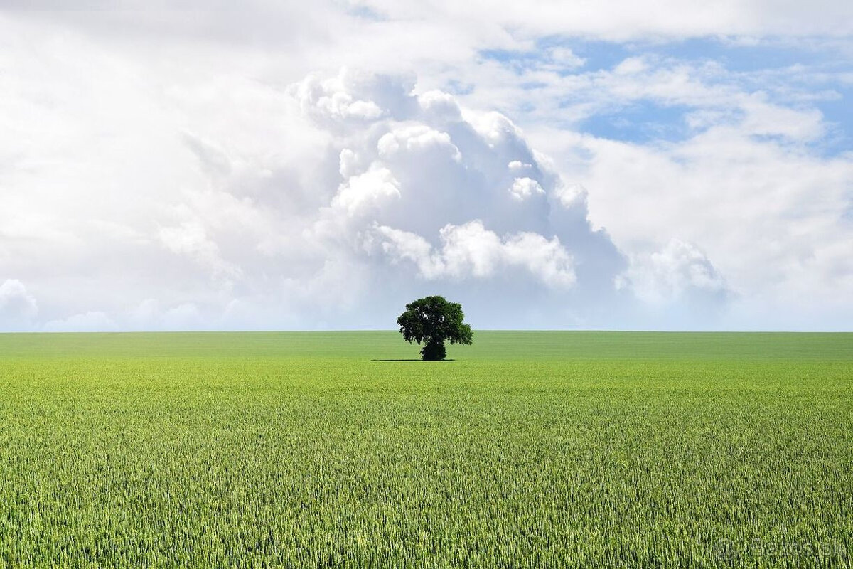 Väčší stavebný pozemok s povolením a projektom na Zobore