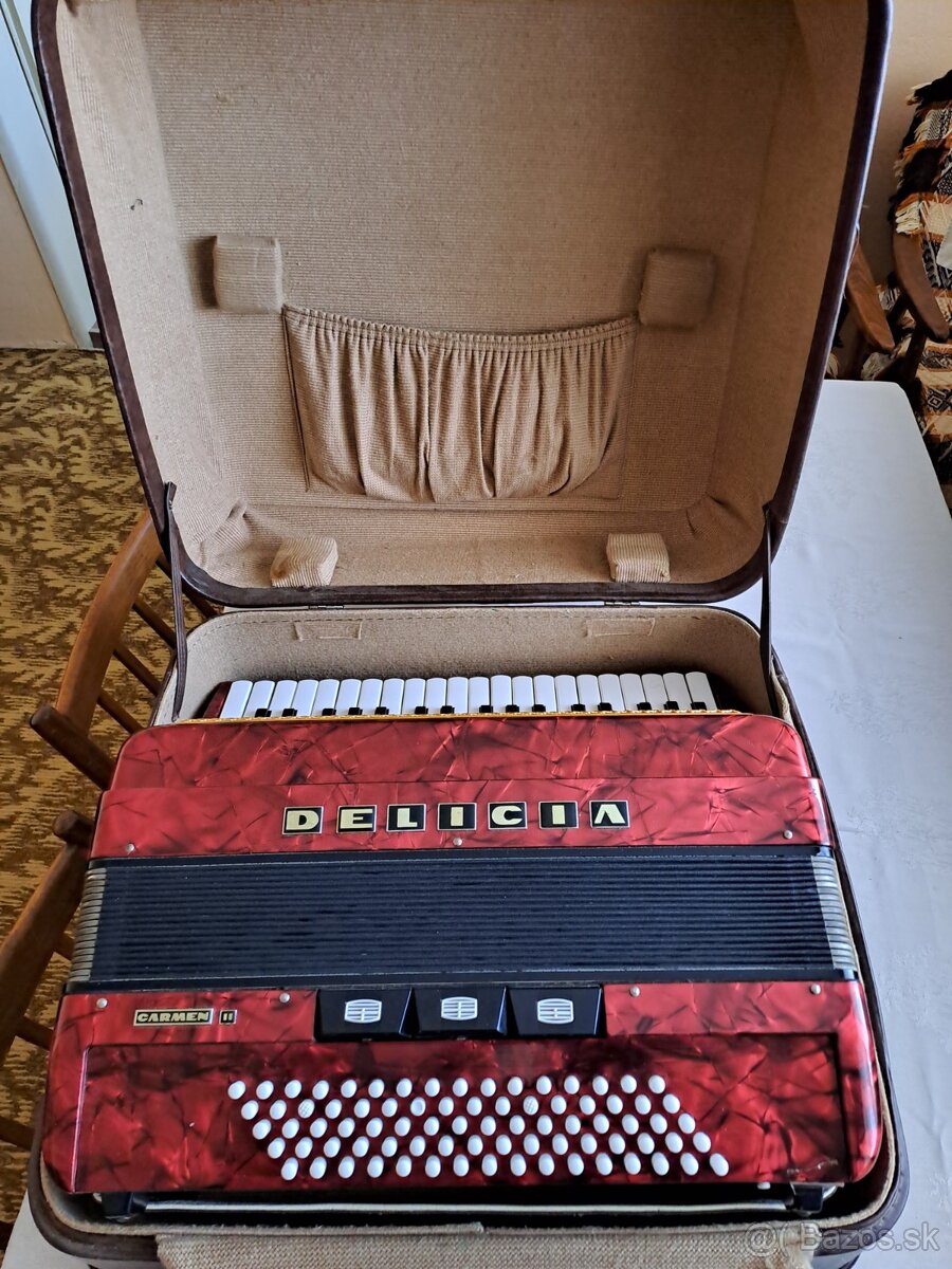 Akordeón Delicia Carmen 2
