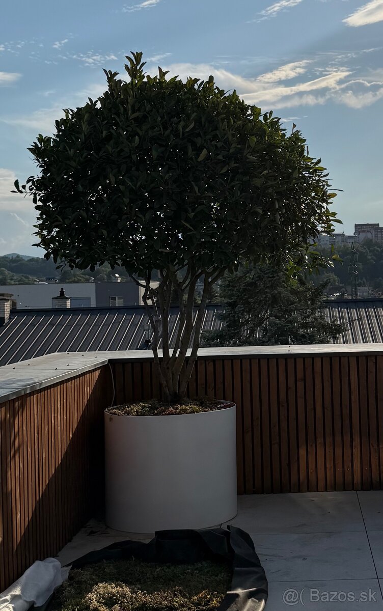 Kvetináč priemer 100cm