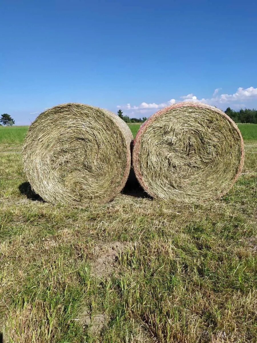 Seno - veľké okrúhle balíky z podhorskej oblasti