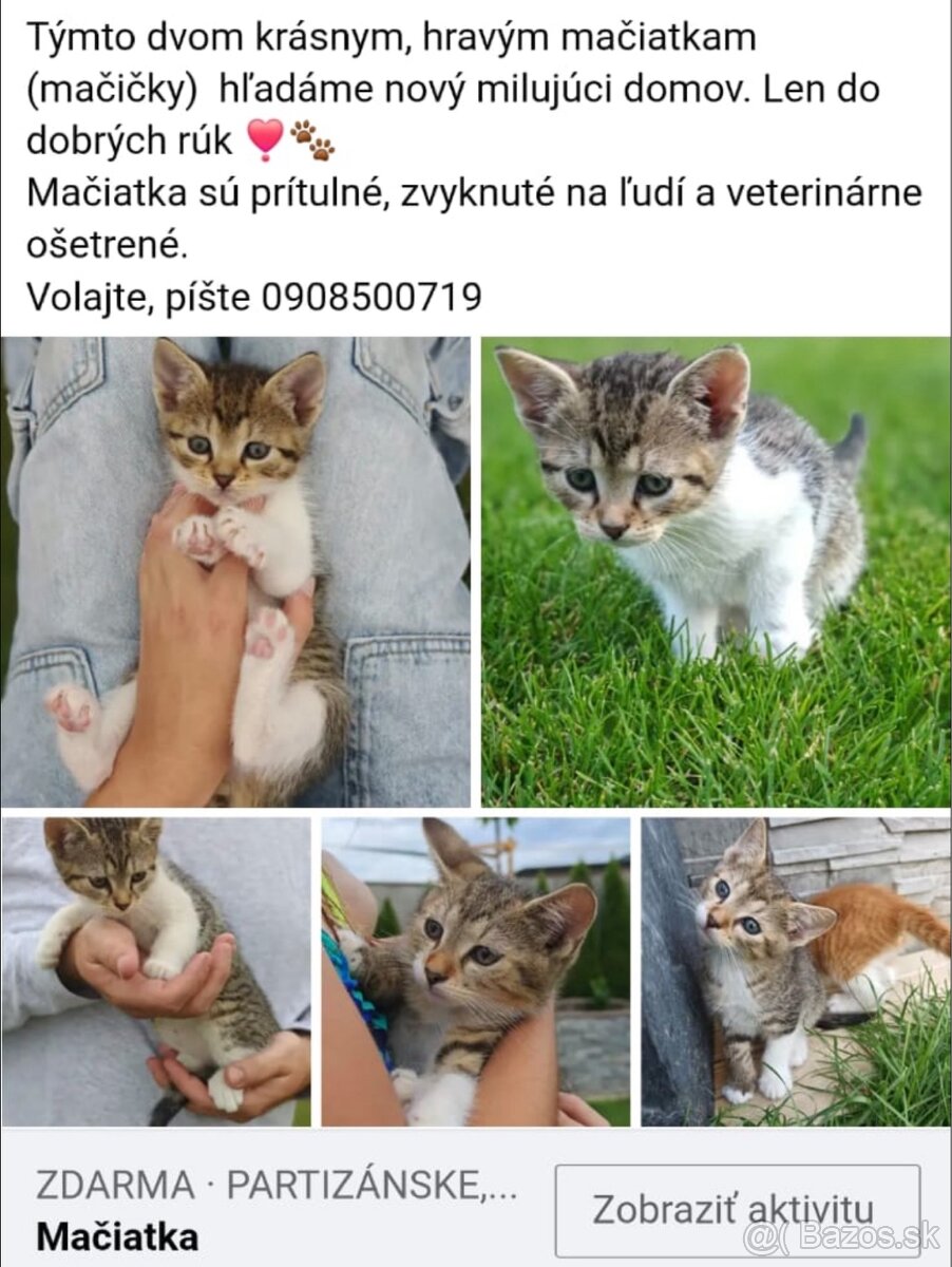 Mačiatka