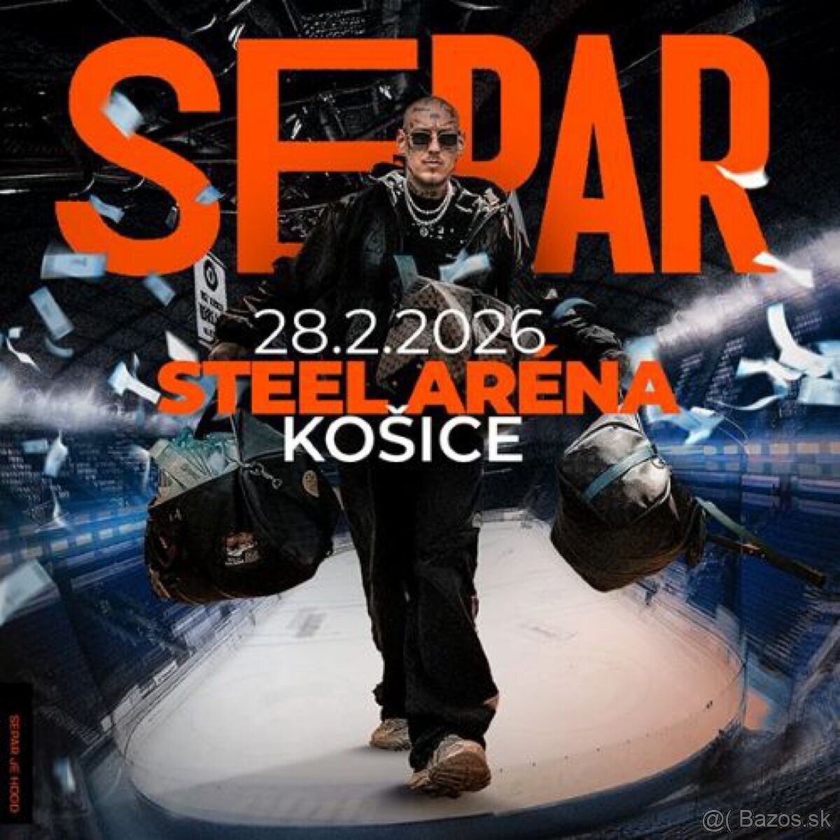 Separ steel aréna koncert
