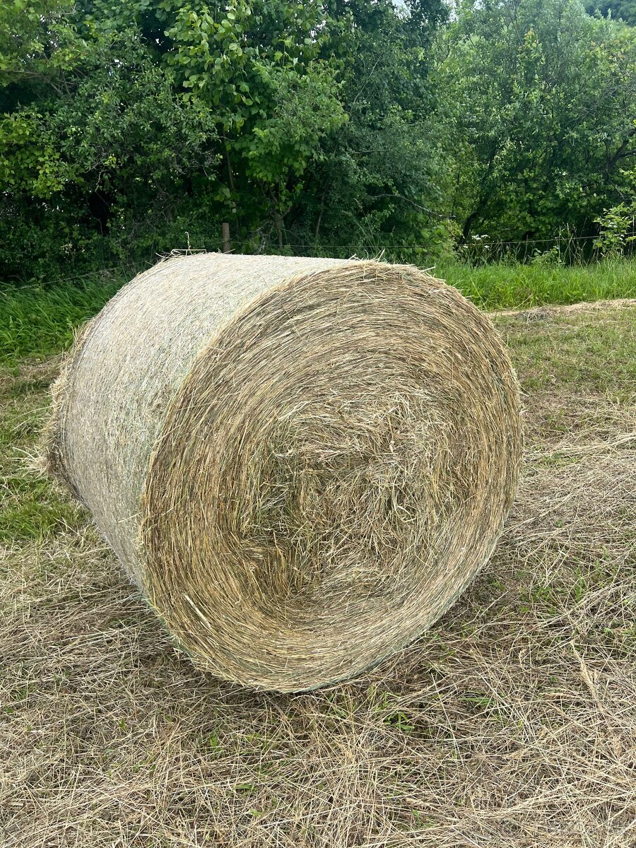 Balíkované seno,balíky