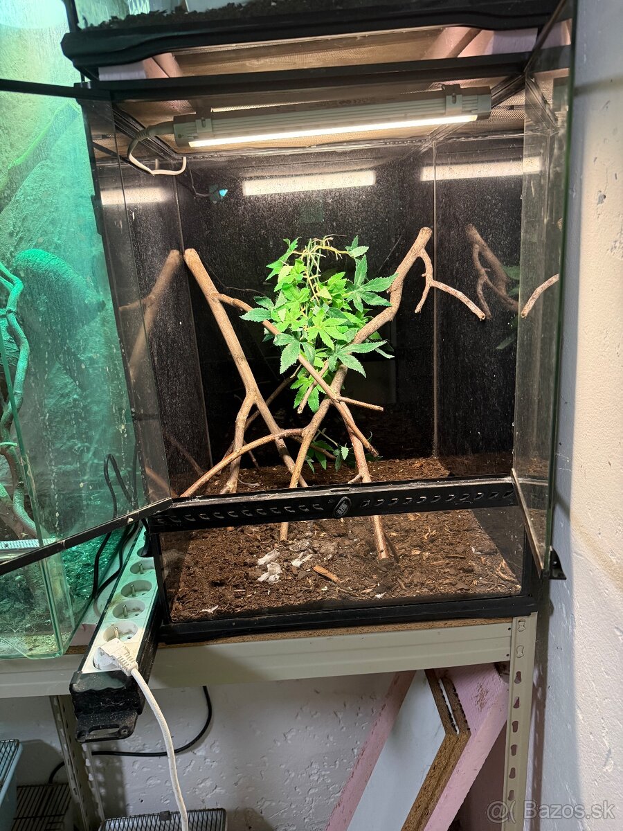 Terarium exoterra 45x45x60