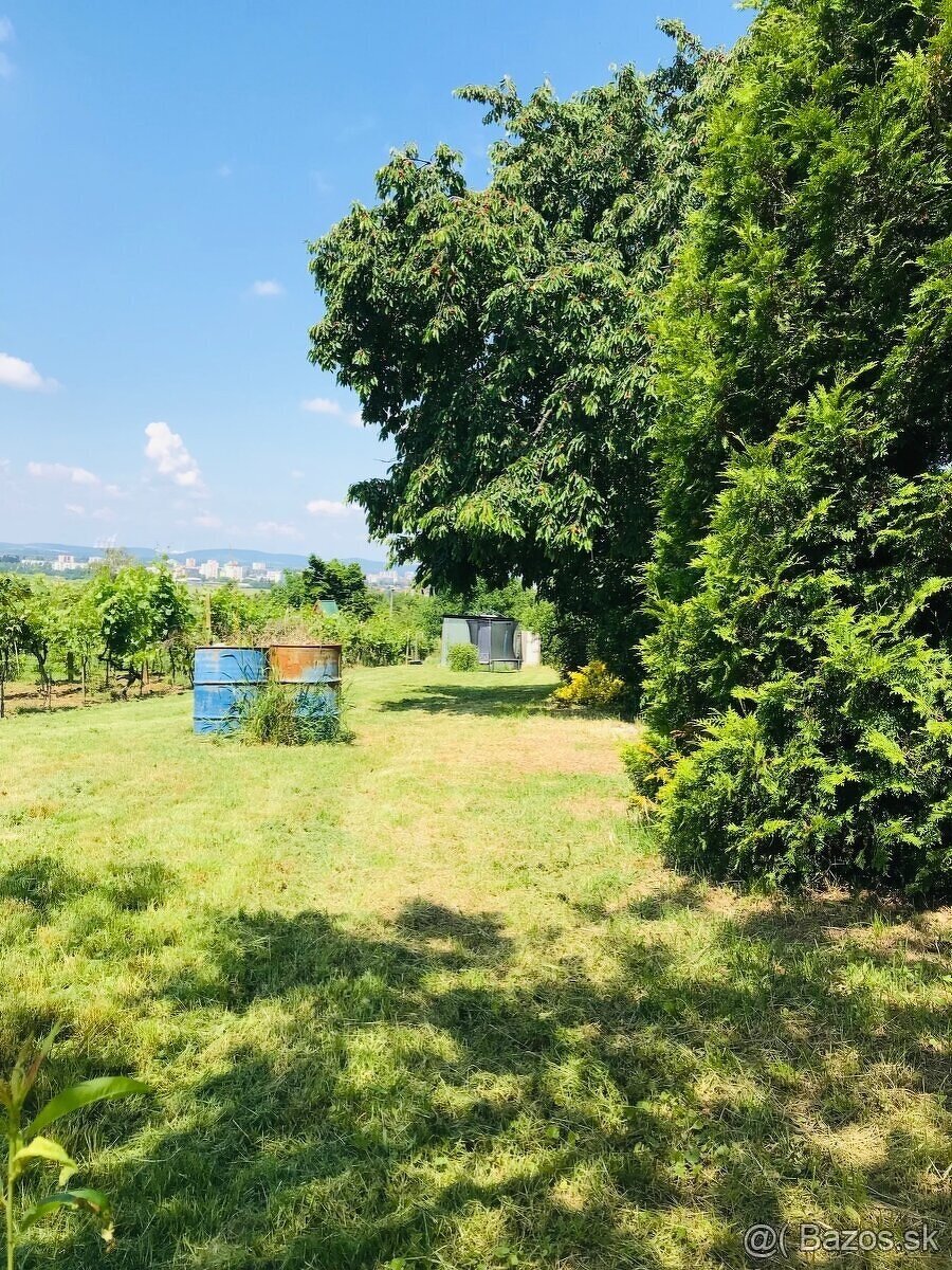 Slnečná záhrada na predaj