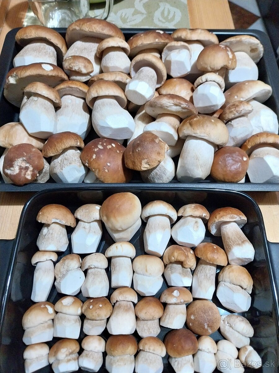 Sušené hríby smrekové, dubáky